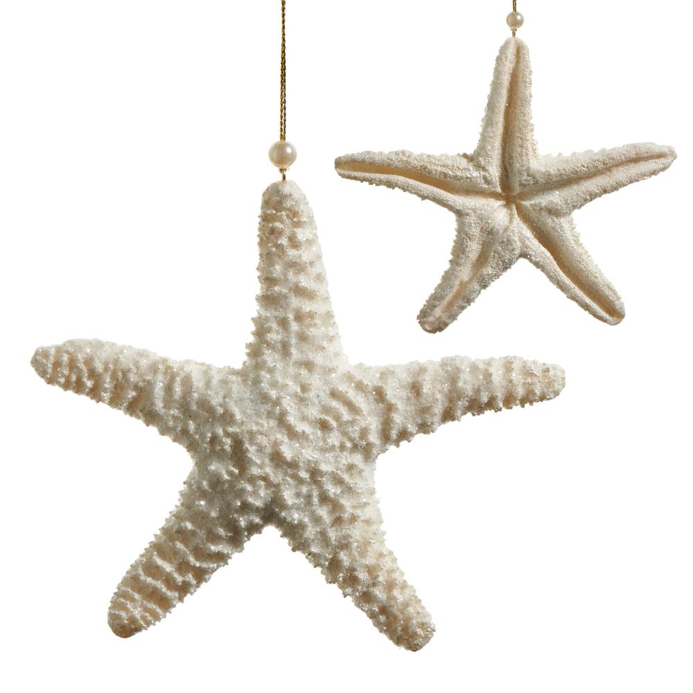 RAZ Imports *SB* 5.75" Ivory Glitter Starfish Ornament