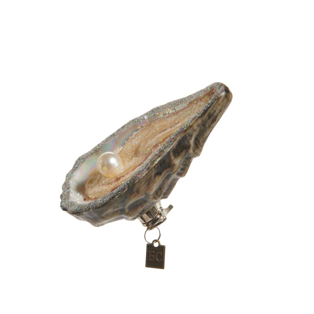 RAZ Imports *SB* EC 4.75" World is your Oyster Ornament