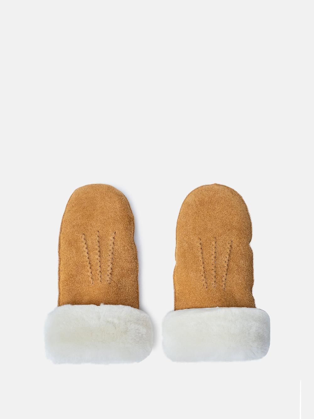 re designed Kasa - Camel