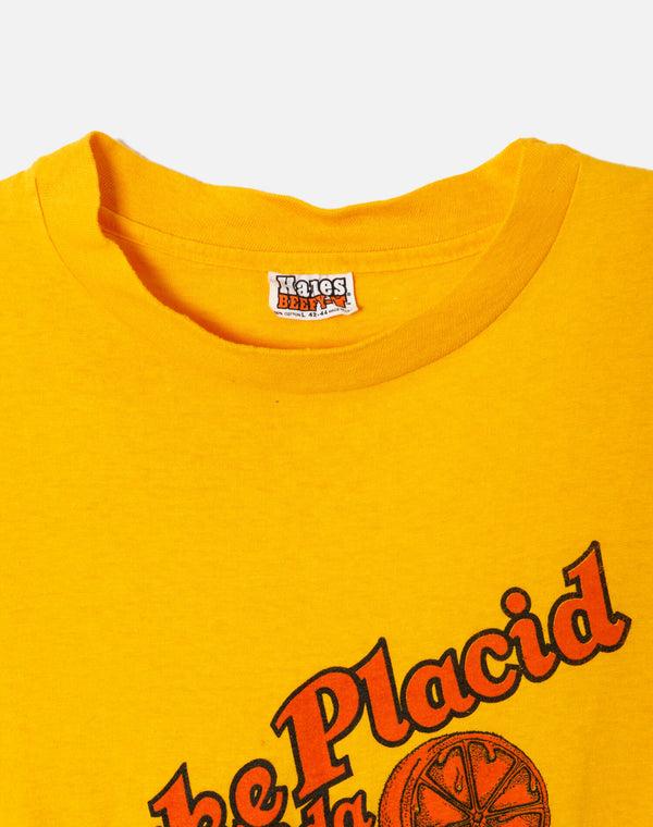 Re Done 70s Hanes Lake Placid Tee Yellow