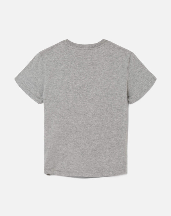 Re Done Classic "Big Sur" Tee Heather Grey