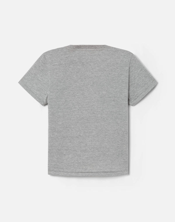 Re Done Hanes Classic Tee Heather Grey