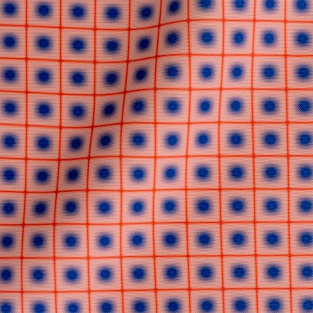 Really Nice Things Outdoor Fabric Lunar Grid Blue Red