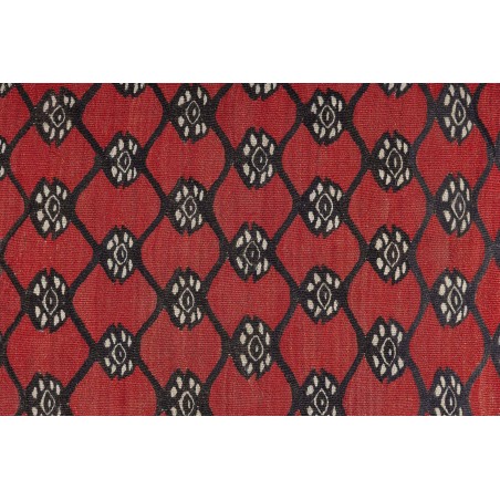 Really Nice Things Ancient Sharkoy