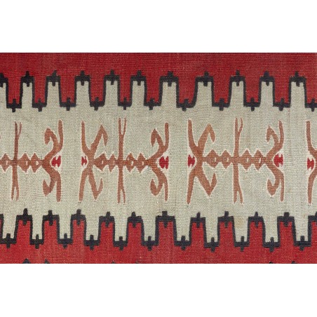 Really Nice Things Ancient Sharkoy