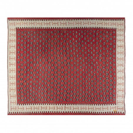 really nice things Ancient Sharkoy