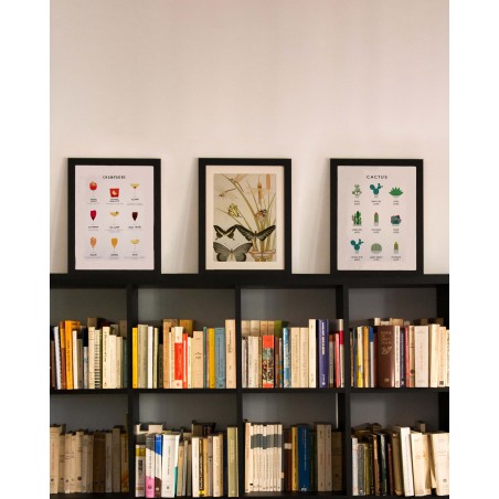 Really Nice Things Cactus Guide Moulding Frame