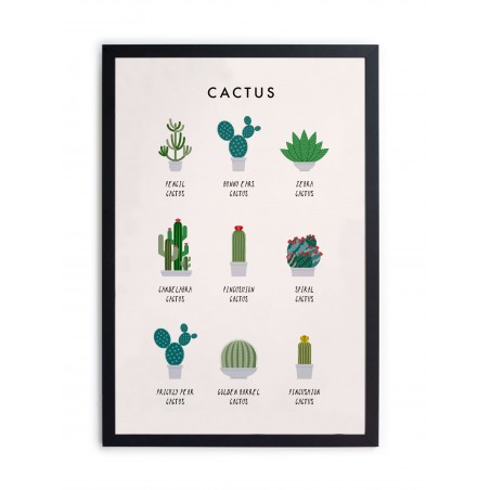 Really Nice Things Cactus Guide Moulding Frame