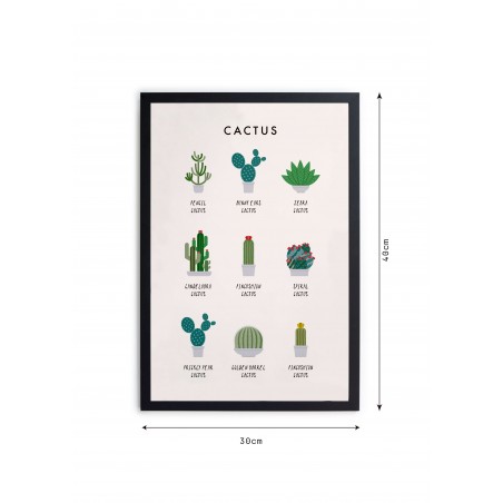 really nice things Cactus Guide moulding frame