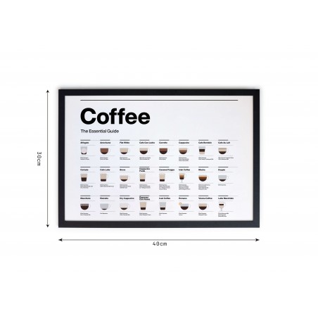 Really Nice Things Moldura Coffee Guide