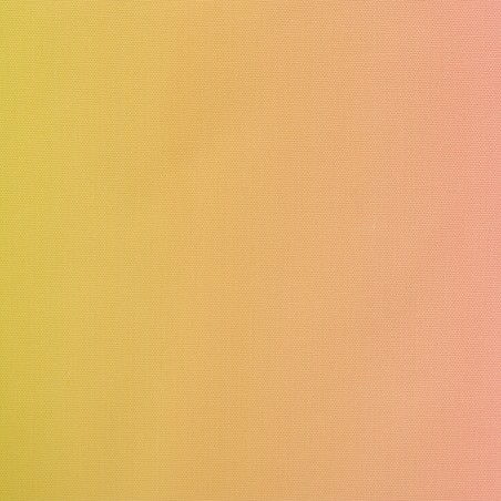 Really Nice Things Outdoor Fabric Yellow Pink