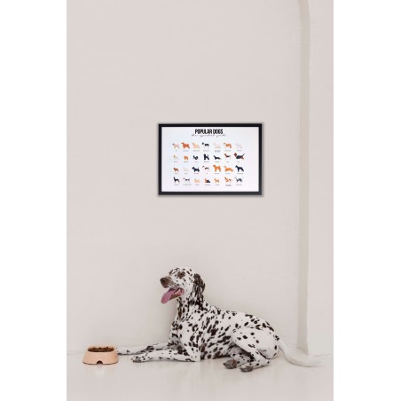 Really Nice Things Popular Dog Moulding Frame