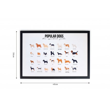 Really Nice Things Popular Dog Moulding Frame
