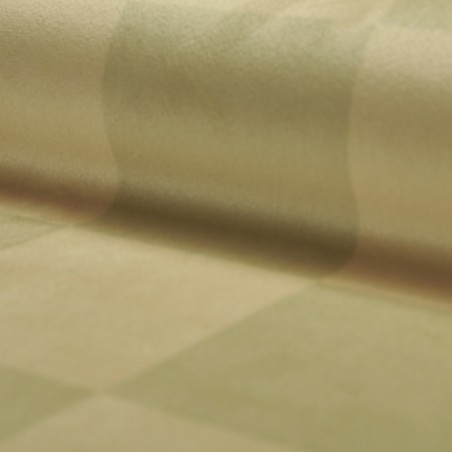 Really Nice Things Tela Velvet Checkerboard 011