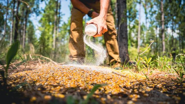 Realtree 4S Advanced Wildlife Solutions Corn Spike Flavor Additive