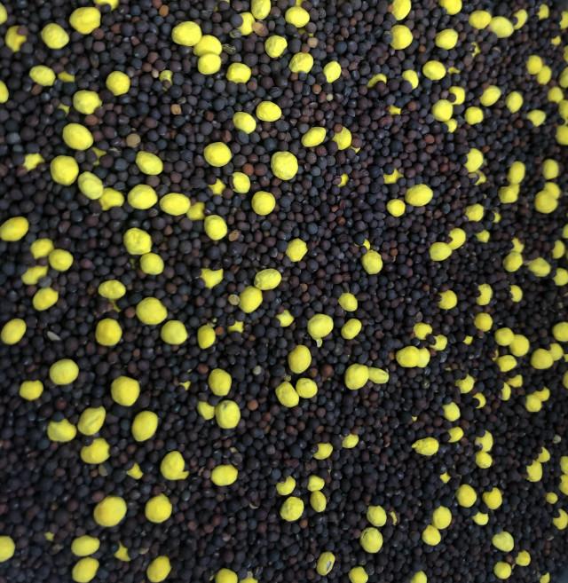 Realtree 4S Advanced Wildlife Solutions Plantler Forage Brassica