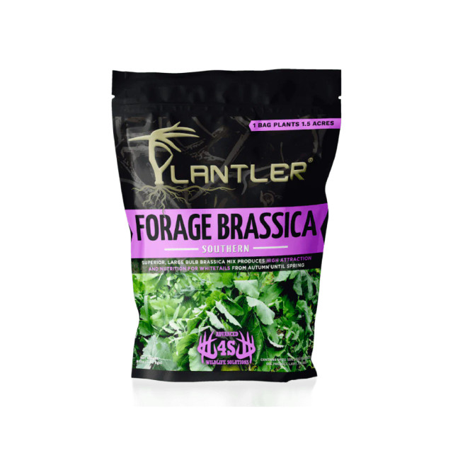realtree 4S Advanced Wildlife Solutions Plantler Forage Brassica