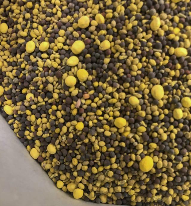 Realtree 4S Advanced Wildlife Solutions Plantler Forager Plus