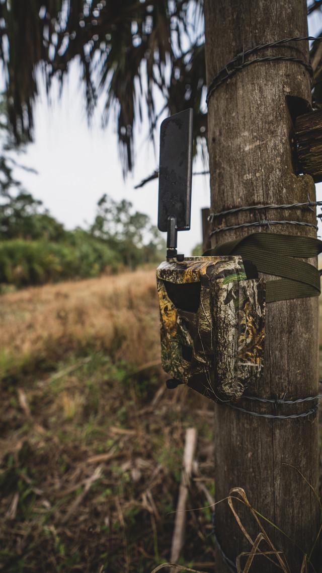 Realtree Spartan Wireless GoLive 4G/LTE Hunting Trail Camera | Realtree EDGE