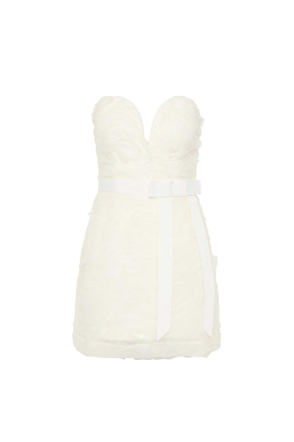 rebecca vallance Willow Mini Dress