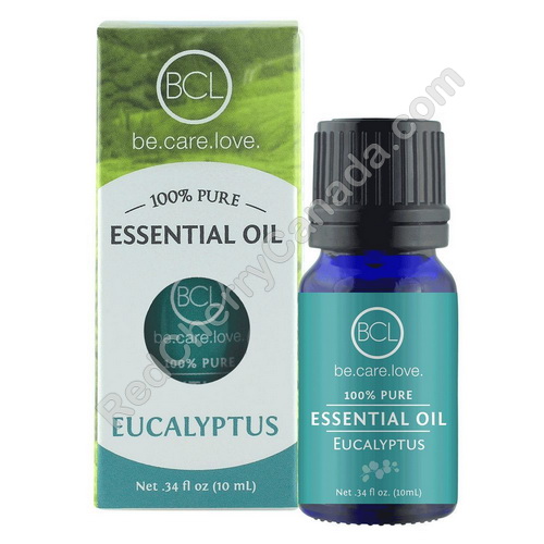 red cherry lashes Essential Oil Eucalyptus 10 ml