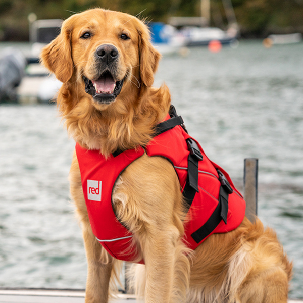 Red Paddle Dog Buoyancy Aid - Red