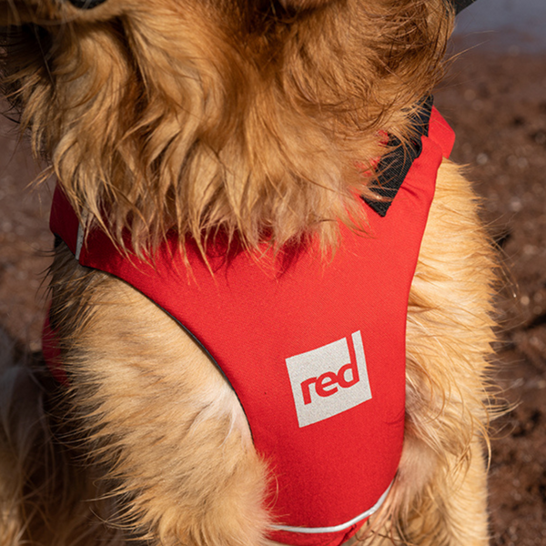 Red Paddle Dog Buoyancy Aid - Red