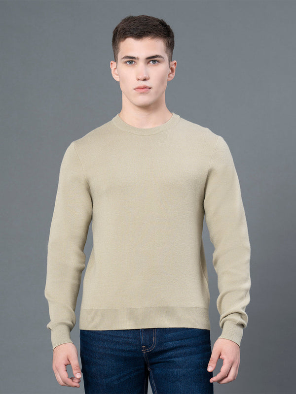 Redtape Round Neck Solid Sweater For Men Pale Olive