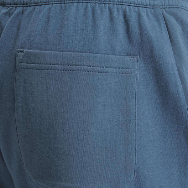 Reebok Classics Men's Active Collective DreamBlend Pants