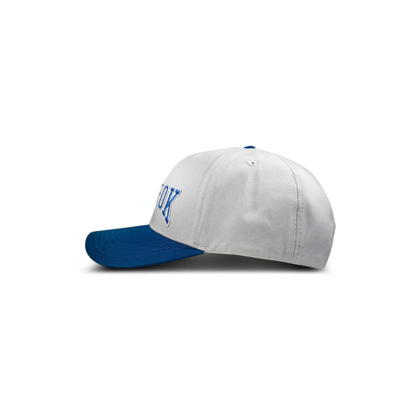 Reebok Classics Gameday Cap