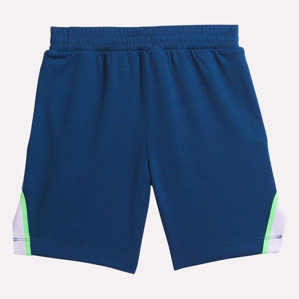 Reebok Classics Kids' WR Basketball Shorts