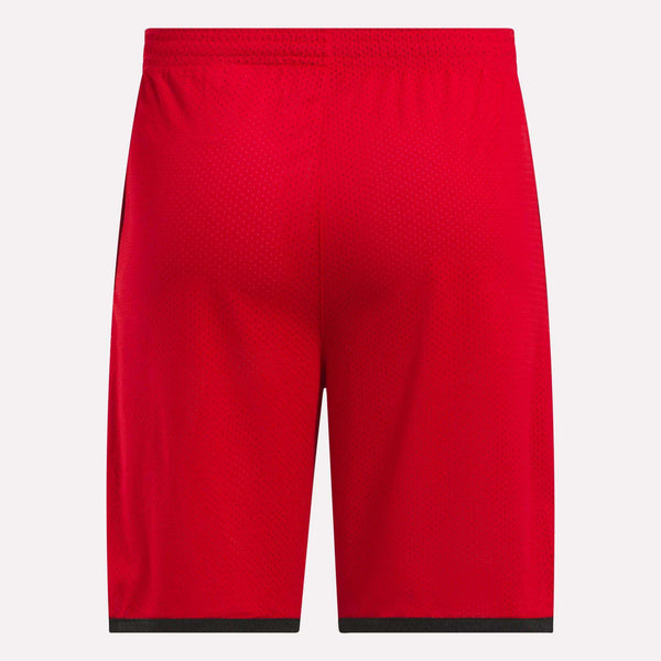 Reebok Classics Men's Basketball Mesh Shorts