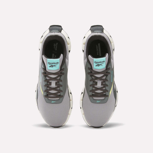 Reebok Classics Zig Dynamica STR Shoes