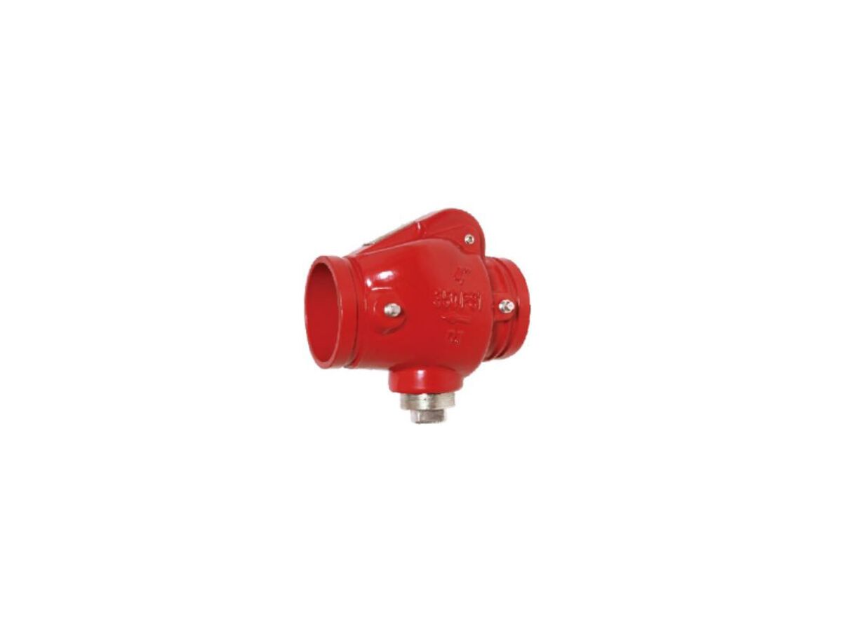 reece Ductile Iron Swing Check Valve Roll Groove 100mm