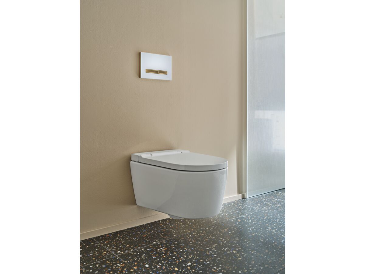 Reece Geberit Sigma50 Dual Flush Button White/Brass