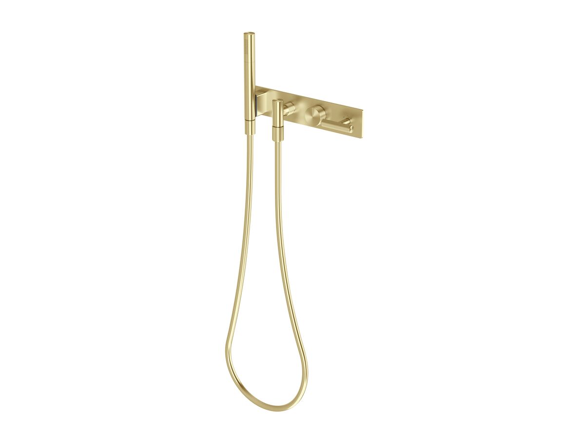 reece Milli Etch Progressive Shower Mixer Tap System with Handshower Brushed Gold (3 Star)