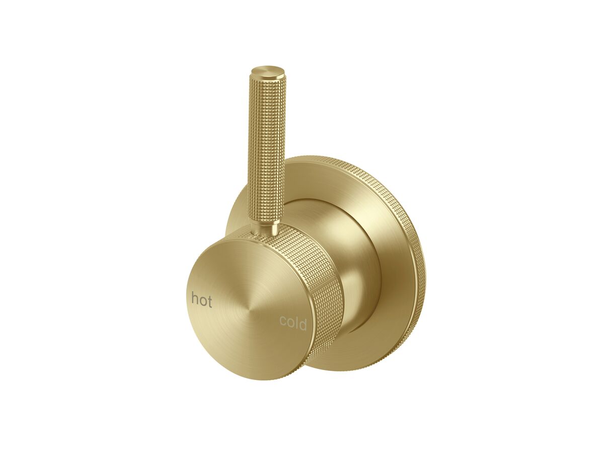 reece Milli Etch Shower Mixer Kit Brushed Gold Lead Free