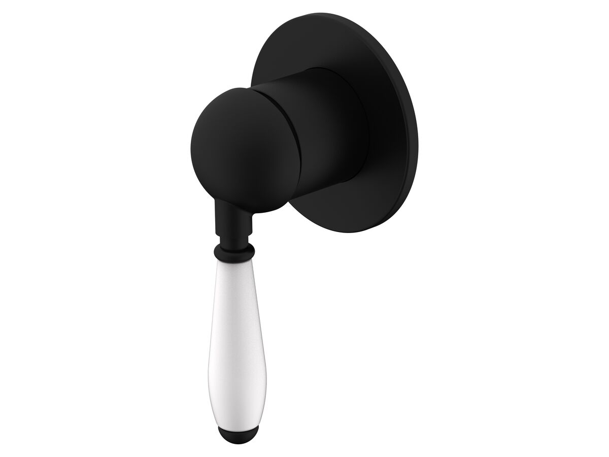 reece Milli Voir Shower Mixer with Porcelain Handle and Small Cover Plate Matte Black