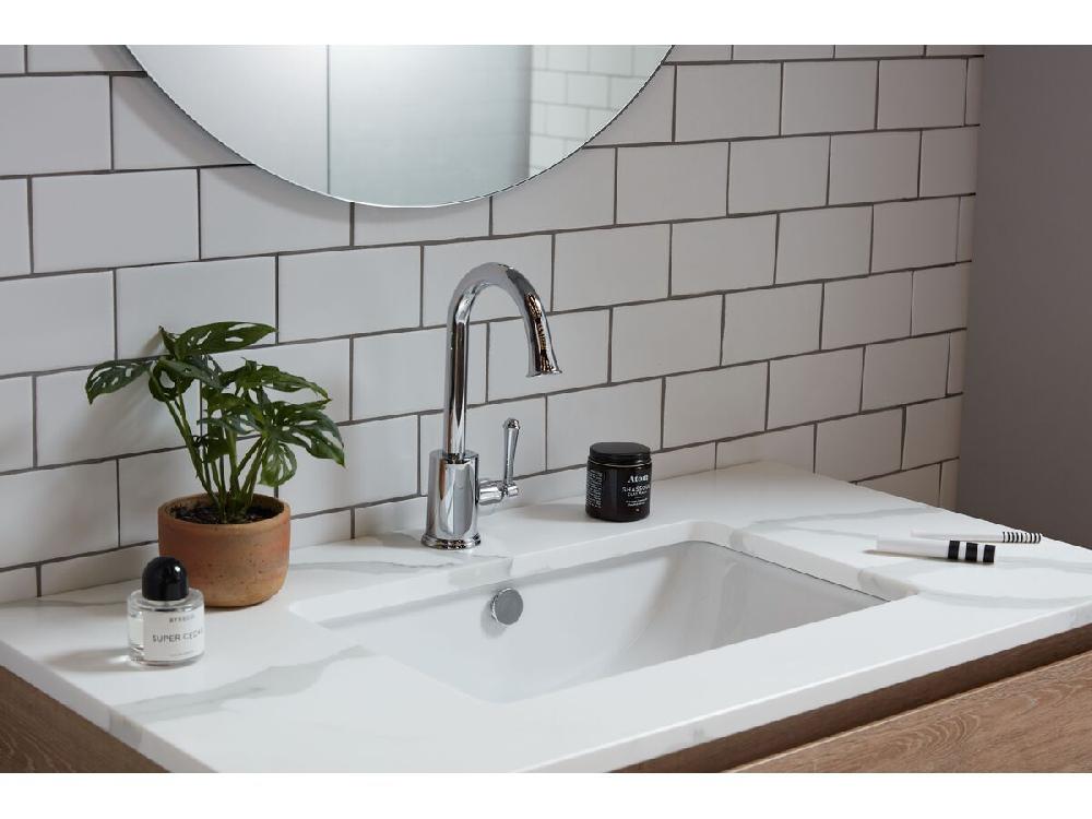 Reece Posh Canterbury Gooseneck Basin Mixer Tap Chrome (4 Star)