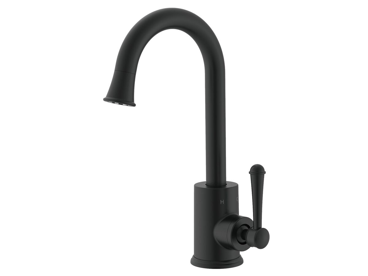 reece Posh Canterbury Gooseneck Basin Mixer Tap Matte Black (4 Star)