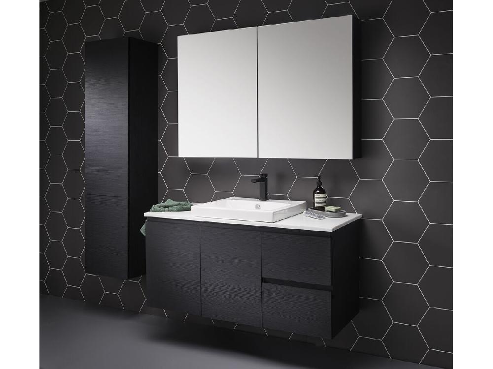 Reece Posh Domaine 600mm X 800mm Shaving Cabinet Standard 2 Door