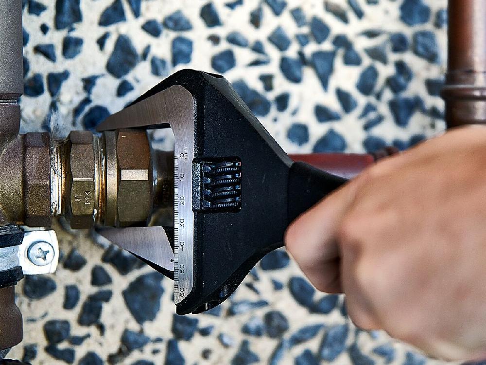 Reece Bigdog Adjustable Wide Jaw Wrench 200mm