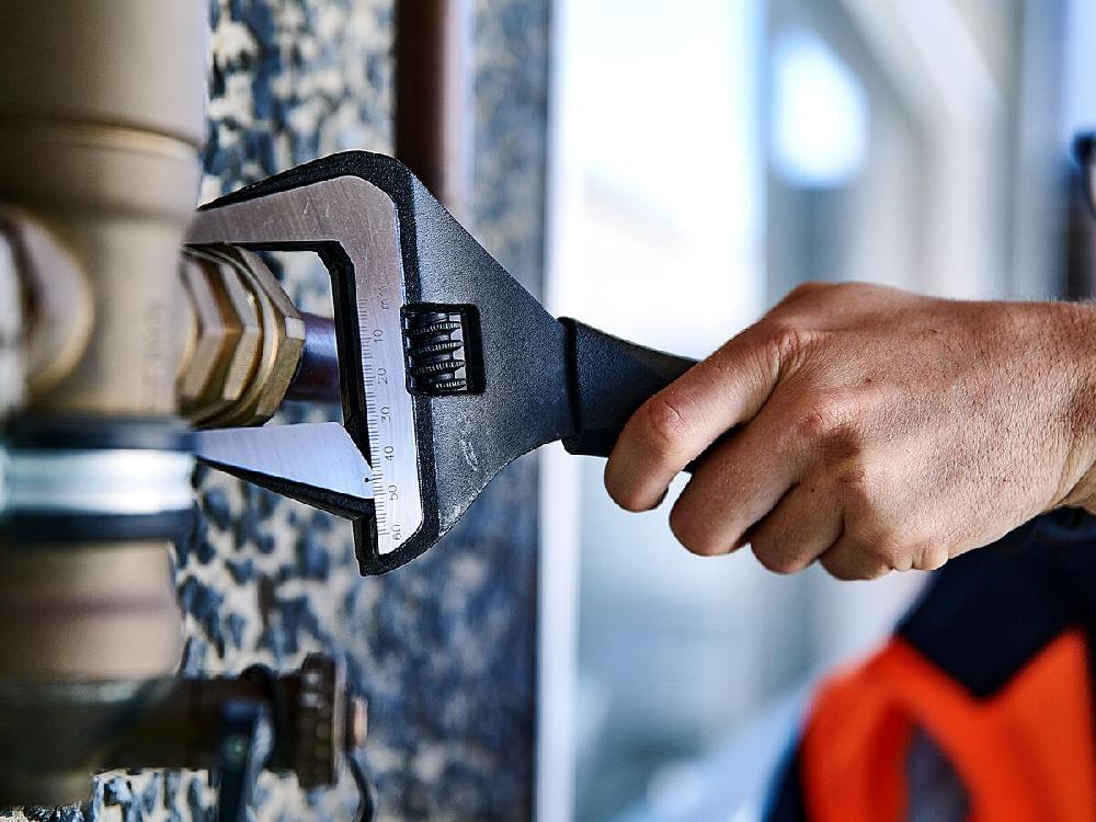 Reece Bigdog Adjustable Wide Jaw Wrench 250mm