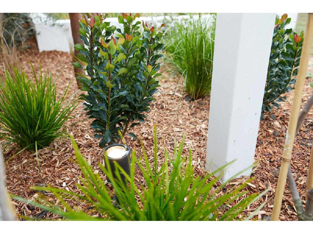 Reece Turbo Adjustable Spike Light Black