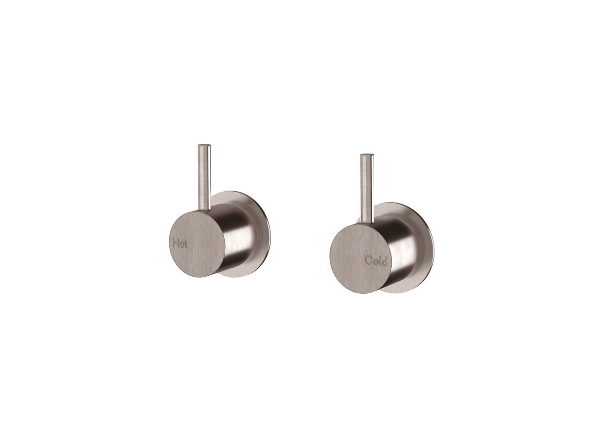 reece Sussex Scala Wall Top Assembly 316 Stainless Steel