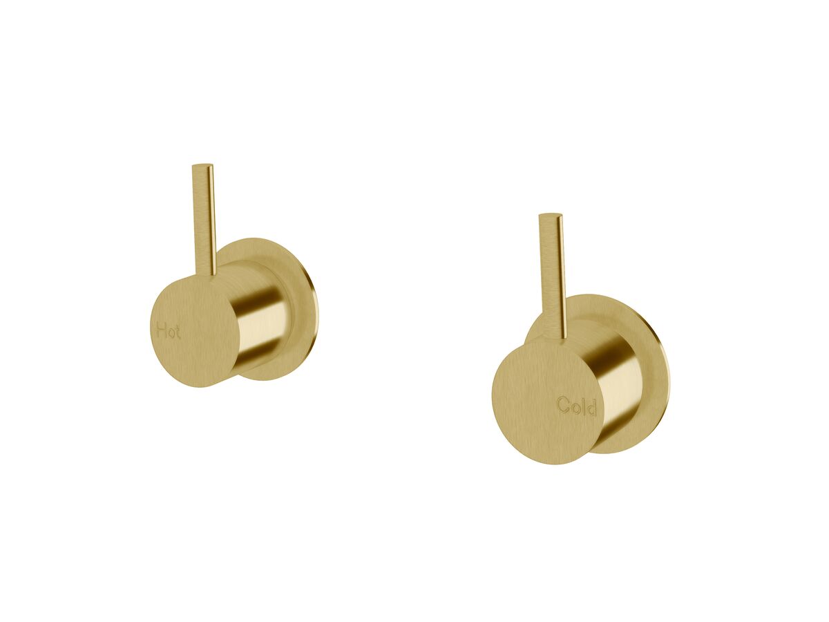 reece Sussex Scala Wall Top Assembly LUX PVD Brushed Pure Gold