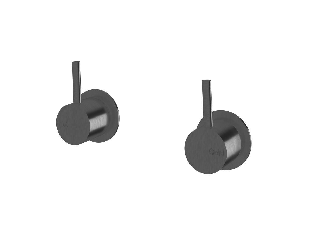 reece Sussex Scala Wall Top Assembly LUX PVD Brushed Smoked Gunmetal