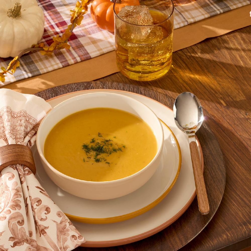 Reed & Barton 24 Seven Colors Sunbaked 12-Piece Dinnerware Set