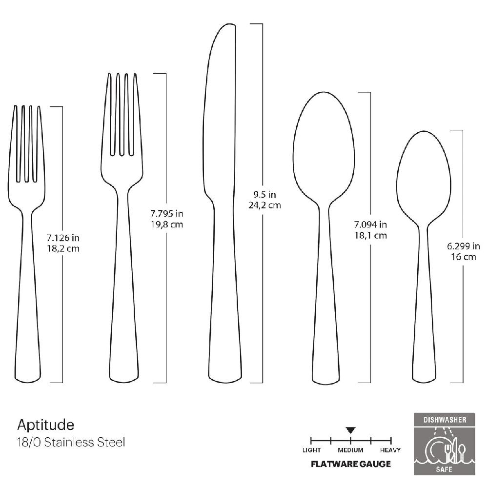 Reed & Barton Aptitude Midnight Glossy 20 Piece Flatware Set