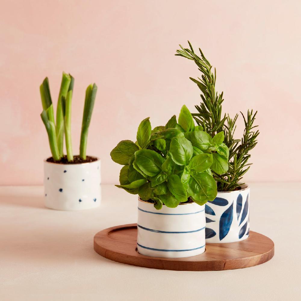 Reed & Barton Blue Bay Snack Bowls - Set Of 3 - With Wood Tray